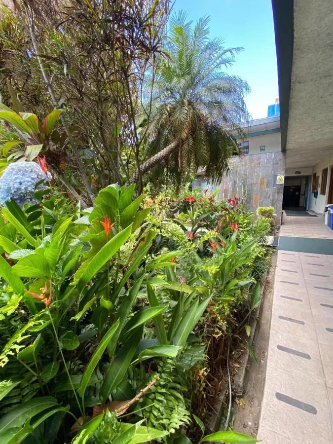 Hotel Ecological Inn San José Exterior foto